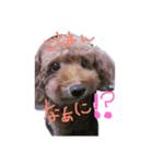 うちの子達天使（個別スタンプ：3）