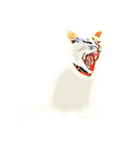 Happy Cat Boy（個別スタンプ：1）