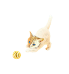 Happy Cat Boy（個別スタンプ：3）