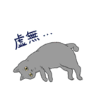 虚無ねこスタンプ（個別スタンプ：1）