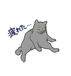 虚無ねこスタンプ（個別スタンプ：2）