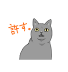 虚無ねこスタンプ（個別スタンプ：4）