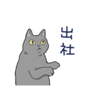 虚無ねこスタンプ（個別スタンプ：7）