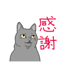 虚無ねこスタンプ（個別スタンプ：9）