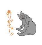 虚無ねこスタンプ（個別スタンプ：10）