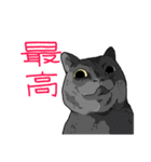 虚無ねこスタンプ（個別スタンプ：11）