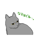 虚無ねこスタンプ（個別スタンプ：12）