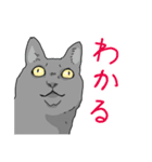 虚無ねこスタンプ（個別スタンプ：13）