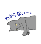 虚無ねこスタンプ（個別スタンプ：14）