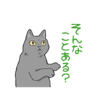 虚無ねこスタンプ（個別スタンプ：16）
