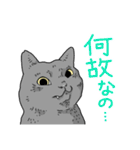 虚無ねこスタンプ（個別スタンプ：17）
