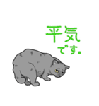 虚無ねこスタンプ（個別スタンプ：19）