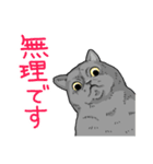 虚無ねこスタンプ（個別スタンプ：20）