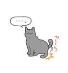 虚無ねこスタンプ（個別スタンプ：24）