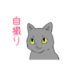 虚無ねこスタンプ（個別スタンプ：26）