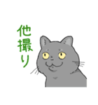 虚無ねこスタンプ（個別スタンプ：27）