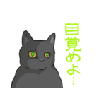 虚無ねこスタンプ（個別スタンプ：30）
