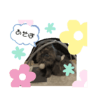 Marquis3（個別スタンプ：2）