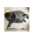 Marquis3（個別スタンプ：8）