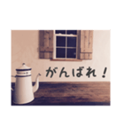 ケトルのつぶやき（個別スタンプ：12）
