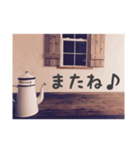 ケトルのつぶやき（個別スタンプ：19）