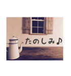 ケトルのつぶやき（個別スタンプ：24）