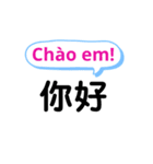 台湾中国語(繁体字)とベトナム語 Vol.2（個別スタンプ：4）