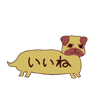 吹き出し犬・猫（わんこ・にゃんこ）（個別スタンプ：13）