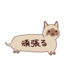 吹き出し犬・猫（わんこ・にゃんこ）（個別スタンプ：16）