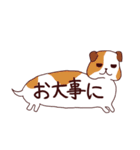 吹き出し犬・猫（わんこ・にゃんこ）（個別スタンプ：19）