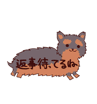 吹き出し犬・猫（わんこ・にゃんこ）（個別スタンプ：29）