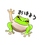 カエルのうた（個別スタンプ：1）