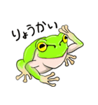 カエルのうた（個別スタンプ：3）