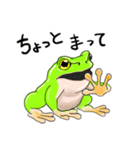 カエルのうた（個別スタンプ：7）