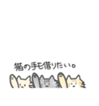 日常会話で使いやすいねこ（個別スタンプ：24）