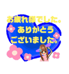 元気っ子。。ギャルっ子。（個別スタンプ：5）