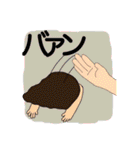 ひとことスタンプ集（個別スタンプ：28）