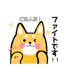 柴犬のワンさん。（個別スタンプ：3）