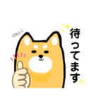 柴犬のワンさん。（個別スタンプ：4）