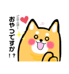 柴犬のワンさん。（個別スタンプ：5）