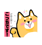 柴犬のワンさん。（個別スタンプ：7）