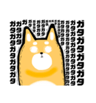 柴犬のワンさん。（個別スタンプ：12）
