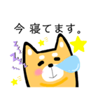 柴犬のワンさん。（個別スタンプ：16）