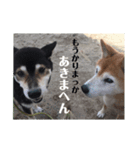 コロとハイジ 4（個別スタンプ：2）