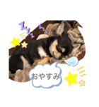 i am Leo 2018.11.27（個別スタンプ：2）
