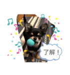i am Leo 2018.11.27（個別スタンプ：4）