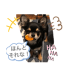 i am Leo 2018.11.27（個別スタンプ：5）