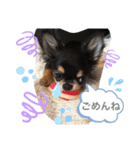 i am Leo 2018.11.27（個別スタンプ：6）