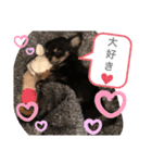 i am Leo 2018.11.27（個別スタンプ：7）
