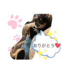 i am Leo 2018.11.27（個別スタンプ：8）